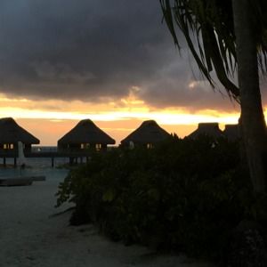 Meet your Posher, Laurel